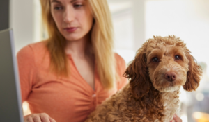 How to Get Pet Health Insurance
