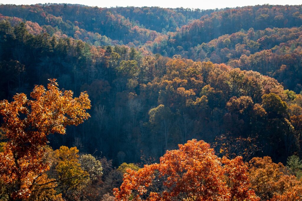 The Appalachia Mountains outside of Asheville, NC