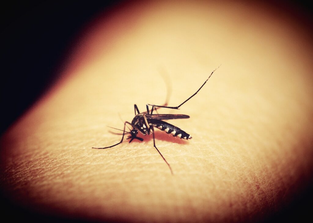 Issues Health Alert for Malaria