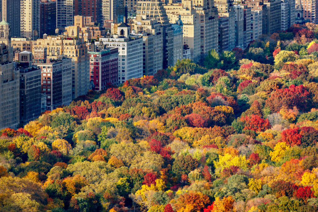 Central Park, New York City in Autumn
