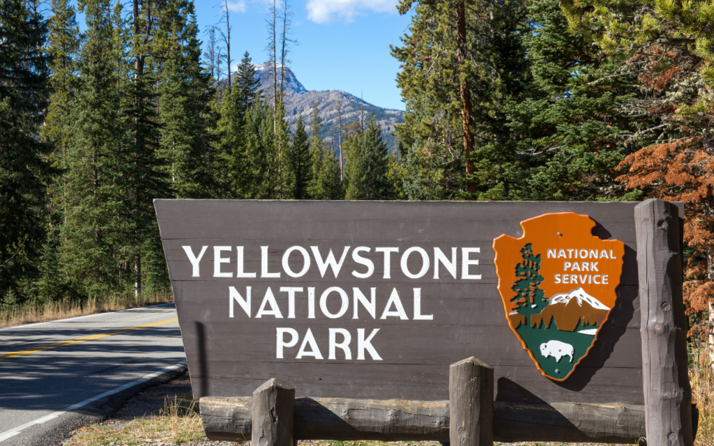 Check out Yellowstone National Park this fall.